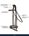 Load image into Gallery viewer, ExionPro Designer Fancy Stitched Bridle with Flash and Rubber Reins
