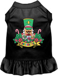 Load image into Gallery viewer, Crushin' It Nutcracker Style Pet Dress
