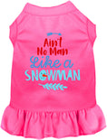 Load image into Gallery viewer, Ain't No Man Like a Snowman Pet Dress
