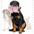 Load image into Gallery viewer, mighty® Angry Animal™ Series - Pig
