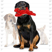 mighty® Angry Animal™ Series - Rabbit