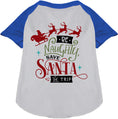 Load image into Gallery viewer, Save Santa the Trip Pet Raglan Shirt
