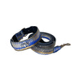 Load image into Gallery viewer, Stunning Multi-Color Blue/Silver/Gold Snake, Classic Collar & Leash Set With Silver Hardware
