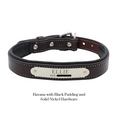 Load image into Gallery viewer, Padded Dog Collar - image 5
