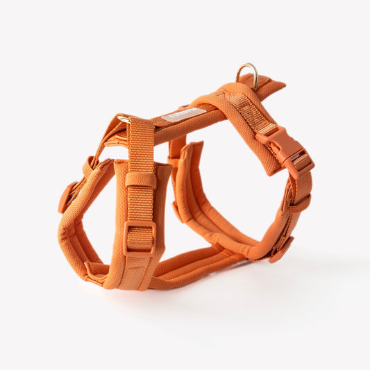 Terracotta - Comfort Dog Harness 