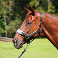 Load image into Gallery viewer, Southlake Paws Magna Halter ™ in Black featuring a fleece noseband and leather breakaway, fitted on a brown horse outdoors.
