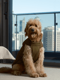 Load image into Gallery viewer, Reversible Dog Vest Jacket - Green Brown
