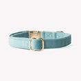 Load image into Gallery viewer, 'Blue' - Velvet Dog Collar 
