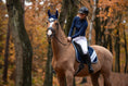 Load image into Gallery viewer, Blue Astra Saddle Pad
