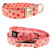 Dog Collar & Leash Sets