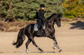 Load image into Gallery viewer, A rider in black attire on a black horse, wearing Southlake Paws Aurum Open Front Boots, in a natural outdoor setting.
