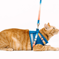 Load image into Gallery viewer, Atlas Cat Harness & Leash Set
