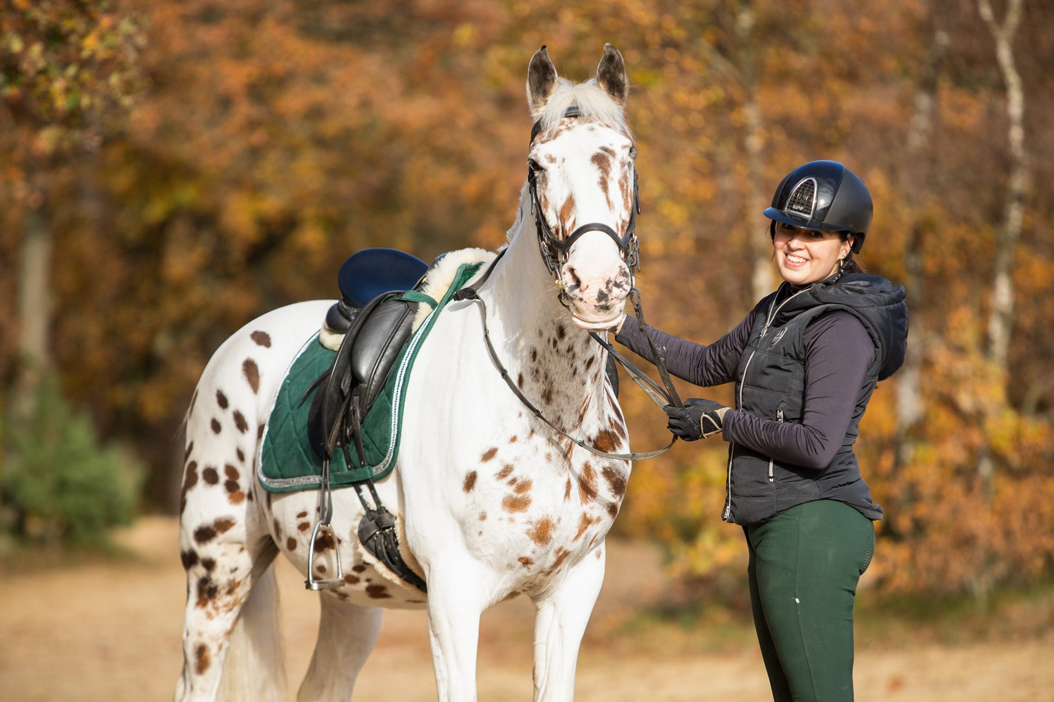 Southlake Paws Pine Grove Saddle Pad on a horse, with a rider in a black vest and helmet, set in a fall landscape.