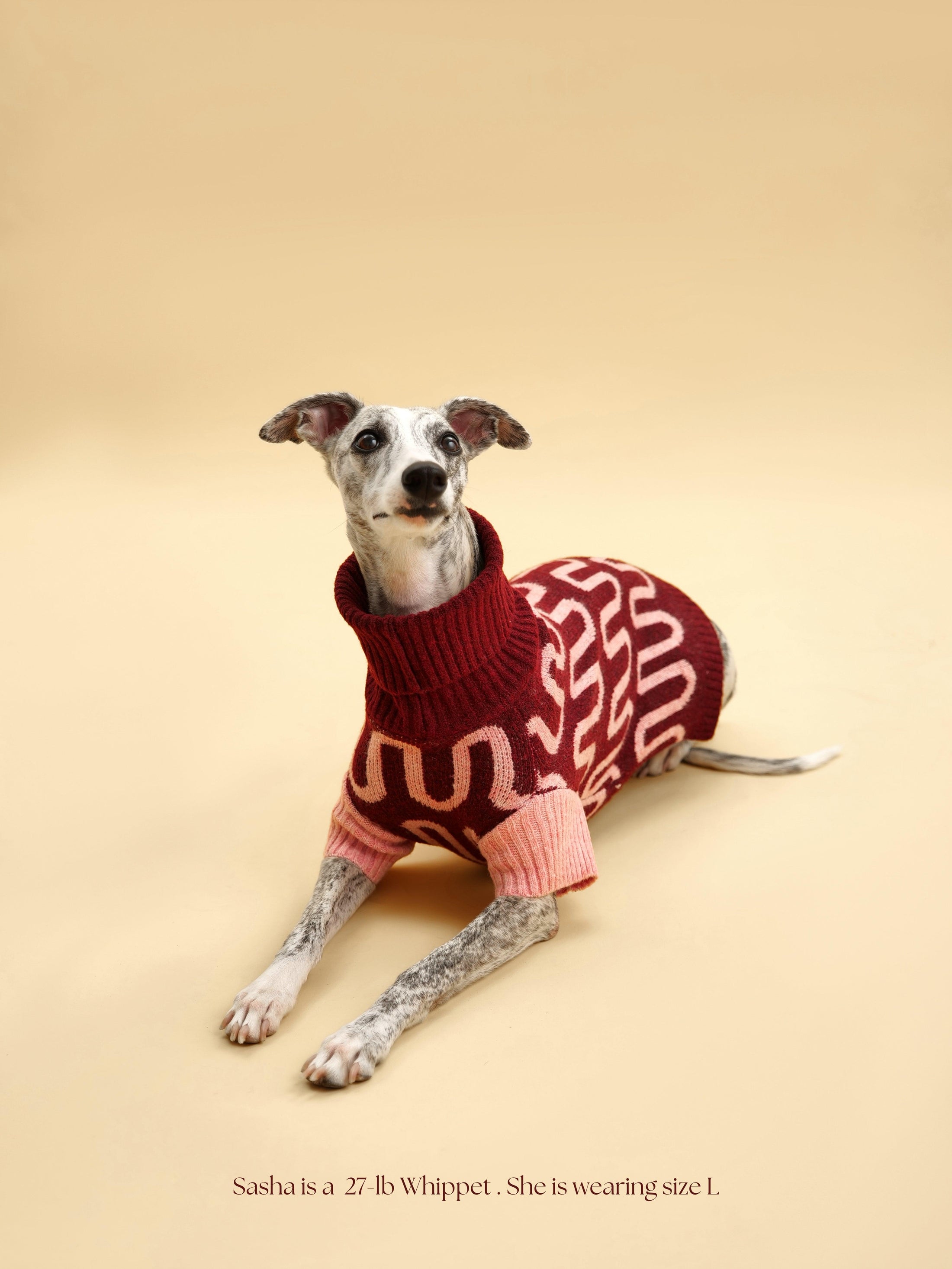 Rosé Bliss Sweater 