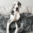 Load image into Gallery viewer, PupProtector™ Waterproof Throw Blanket - Charcoal Grey
