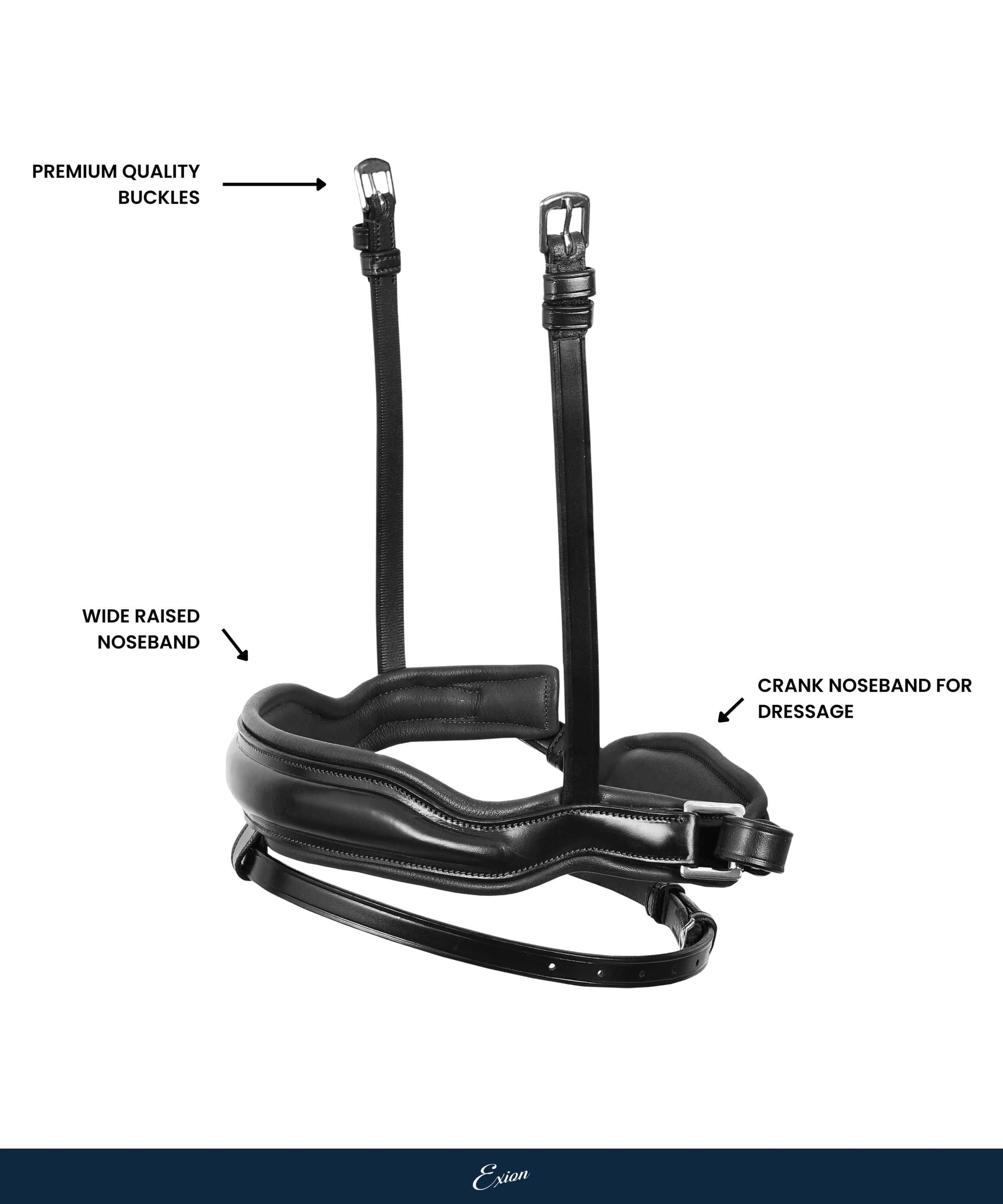 Replacement Noseband of ExionPro 'Leo' Classic Dressage Bridle - Southlake Paws