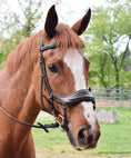 Load image into Gallery viewer, ExionPro Anti-Pressure Anatomic Jumping Raised Padded Fancy Wave Stitched Bridle - Southlake Paws

