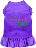 Load image into Gallery viewer, Elf Crew Christmas Pet Dress
