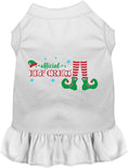 Load image into Gallery viewer, Elf Crew Christmas Pet Dress
