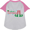 Load image into Gallery viewer, Elf Crew Pet Raglan Shirt
