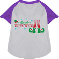 Load image into Gallery viewer, Elf Crew Pet Raglan Shirt
