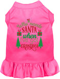 Load image into Gallery viewer, I've Got Grandma! Pet Dress
