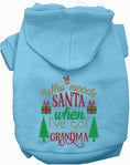 Load image into Gallery viewer, I've Got Grandma! Christmas Pet Hoodie
