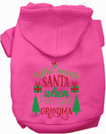 Load image into Gallery viewer, I've Got Grandma! Christmas Pet Hoodie
