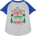 Load image into Gallery viewer, I've Got Grandma! Pet Raglan Shirt
