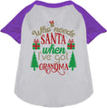 Load image into Gallery viewer, I've Got Grandma! Pet Raglan Shirt
