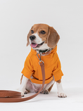 Load image into Gallery viewer, Tribeca adjustable velcro raincoat - Egg Yolk

