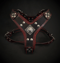 Load image into Gallery viewer, The ''Eros'' harness Black & Red Small to Medium Size
