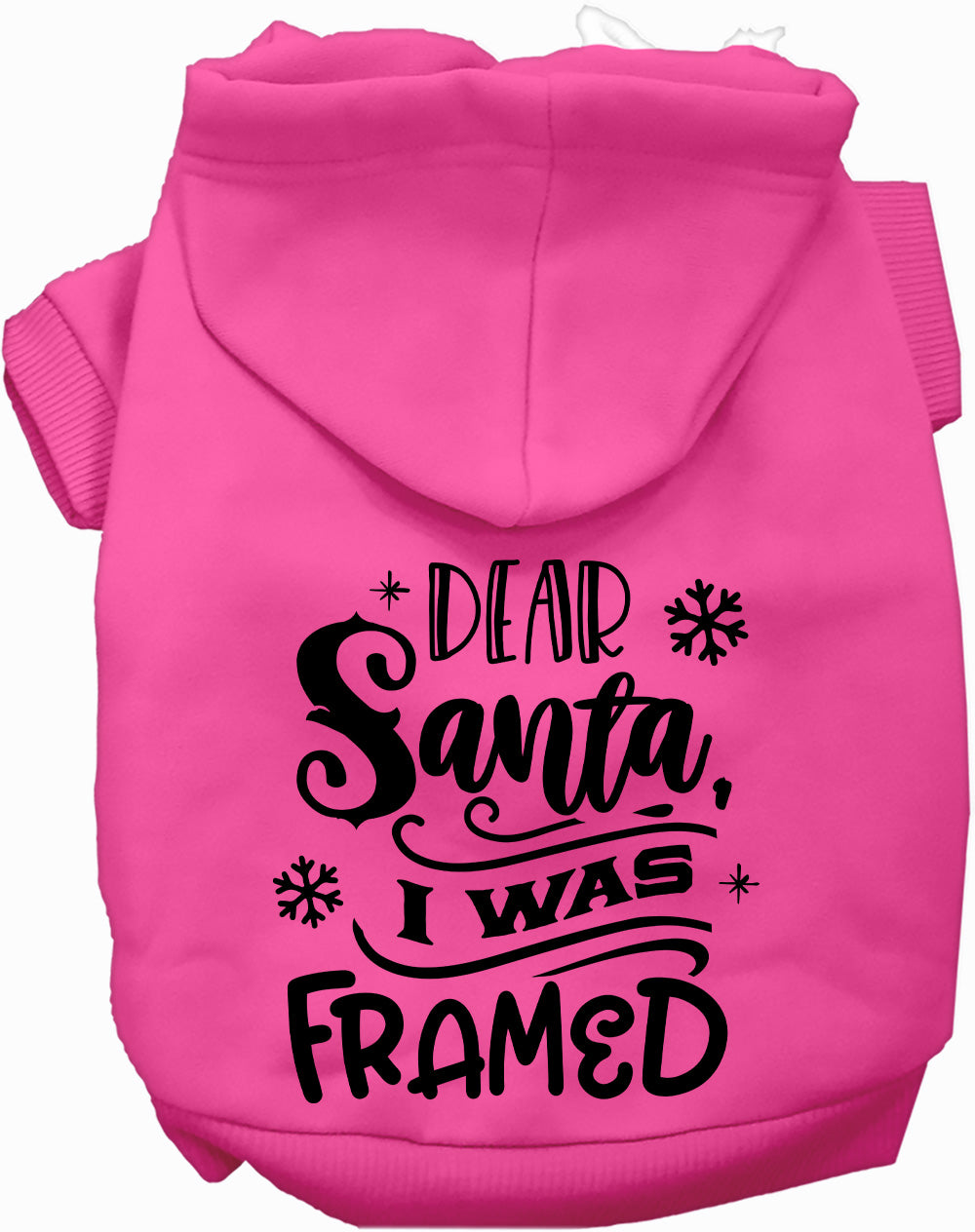 I was Framed Christmas Pet Hoodie