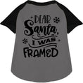 Load image into Gallery viewer, I was Framed! Pet Raglan Shirt
