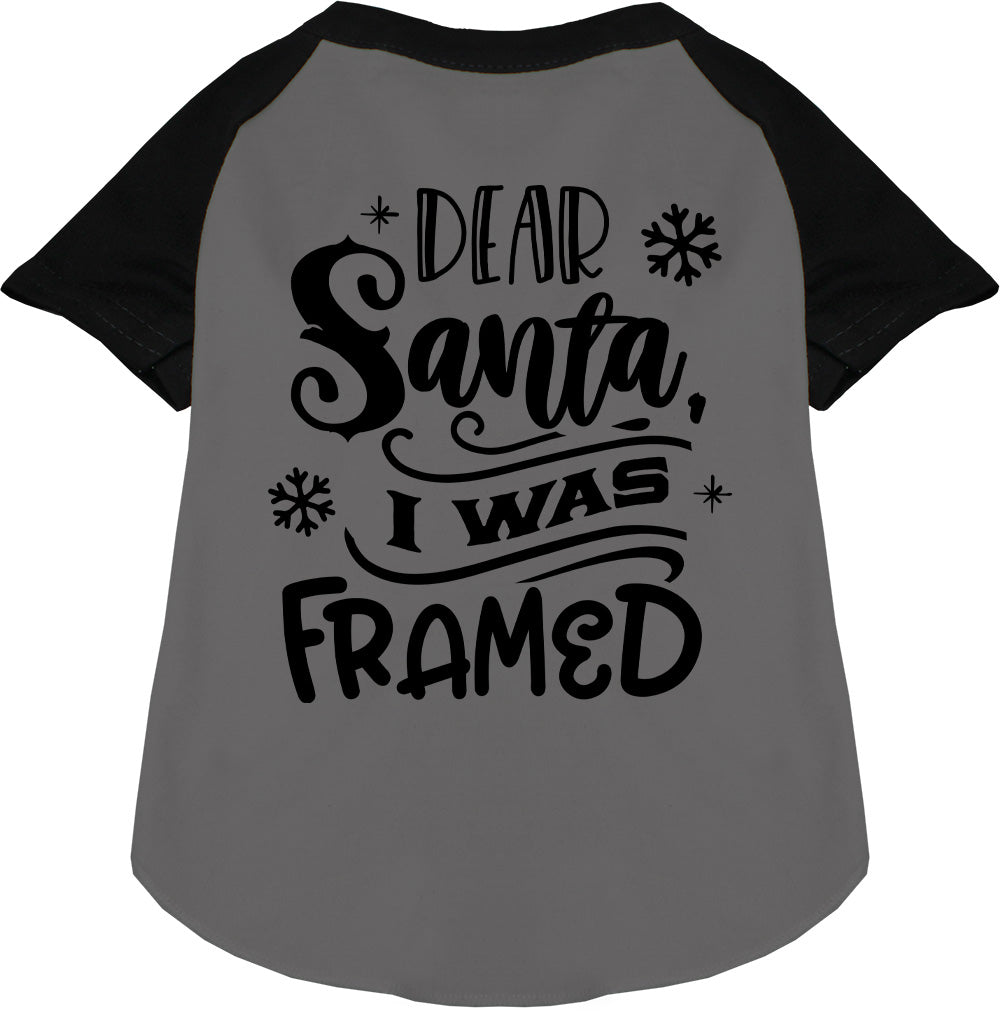 I was Framed! Pet Raglan Shirt
