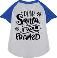 Load image into Gallery viewer, I was Framed! Pet Raglan Shirt
