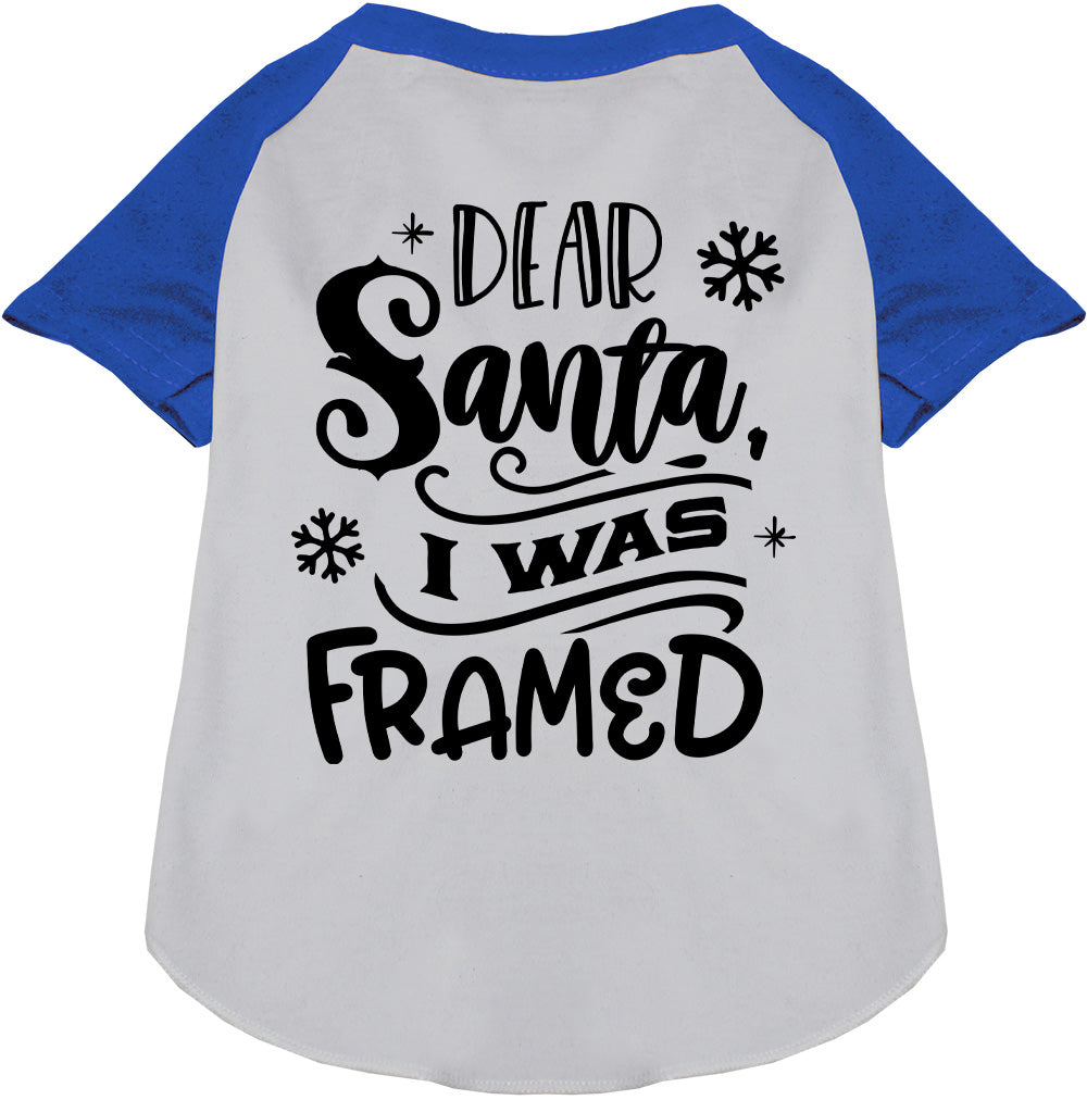 I was Framed! Pet Raglan Shirt
