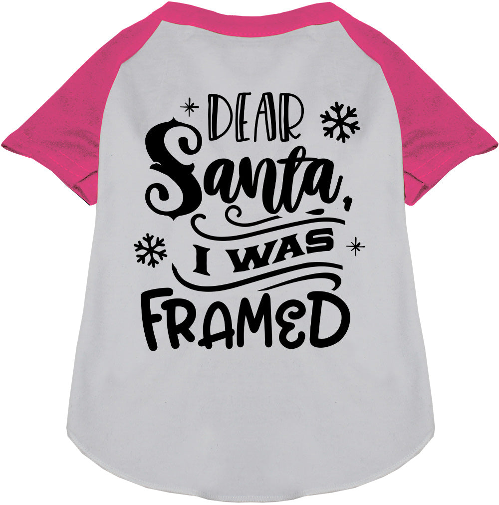 I was Framed! Pet Raglan Shirt