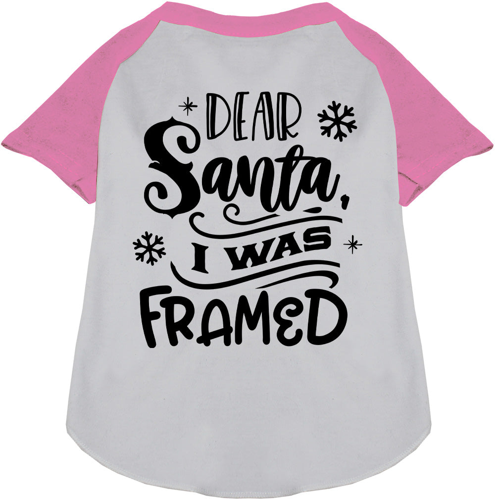 I was Framed! Pet Raglan Shirt