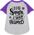 Load image into Gallery viewer, I was Framed! Pet Raglan Shirt

