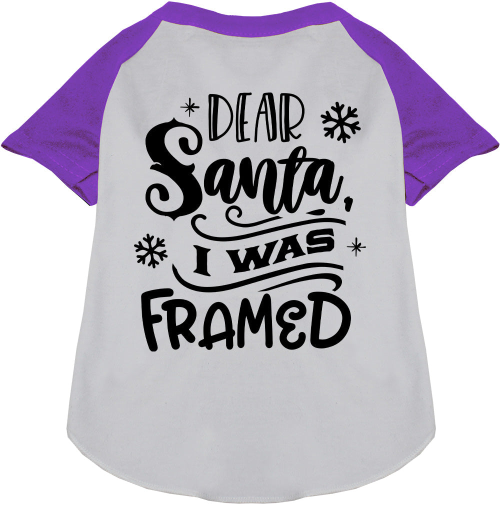I was Framed! Pet Raglan Shirt