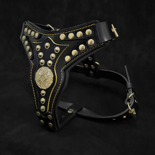 The ''Maximus'' harness V2 Medium Size