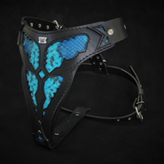 The ''Morelia Python'' harness 