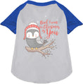Load image into Gallery viewer, Owl I Want For Christmas Pet Raglan Shirt
