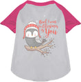 Load image into Gallery viewer, Owl I Want For Christmas Pet Raglan Shirt
