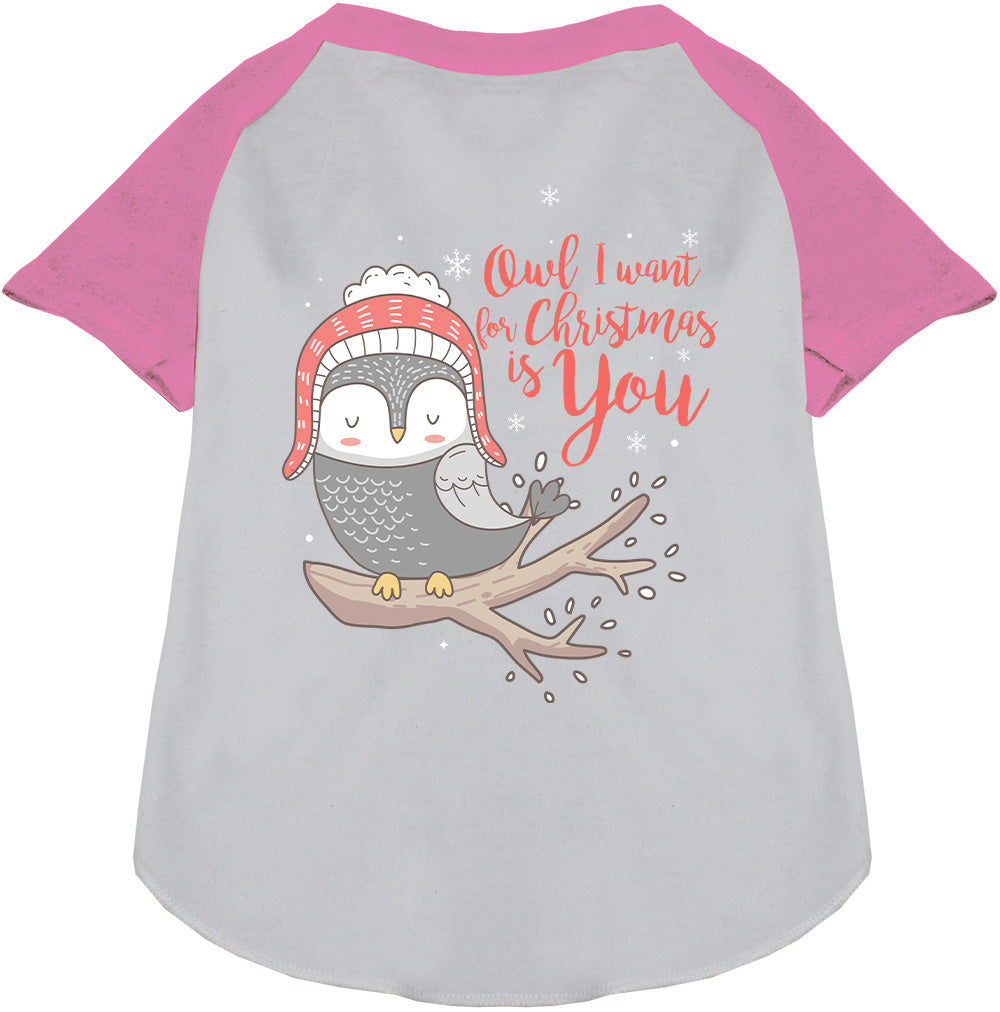 Owl I Want For Christmas Pet Raglan Shirt