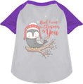 Load image into Gallery viewer, Owl I Want For Christmas Pet Raglan Shirt
