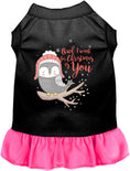Load image into Gallery viewer, Owl I Want For Christmas Pet Dress
