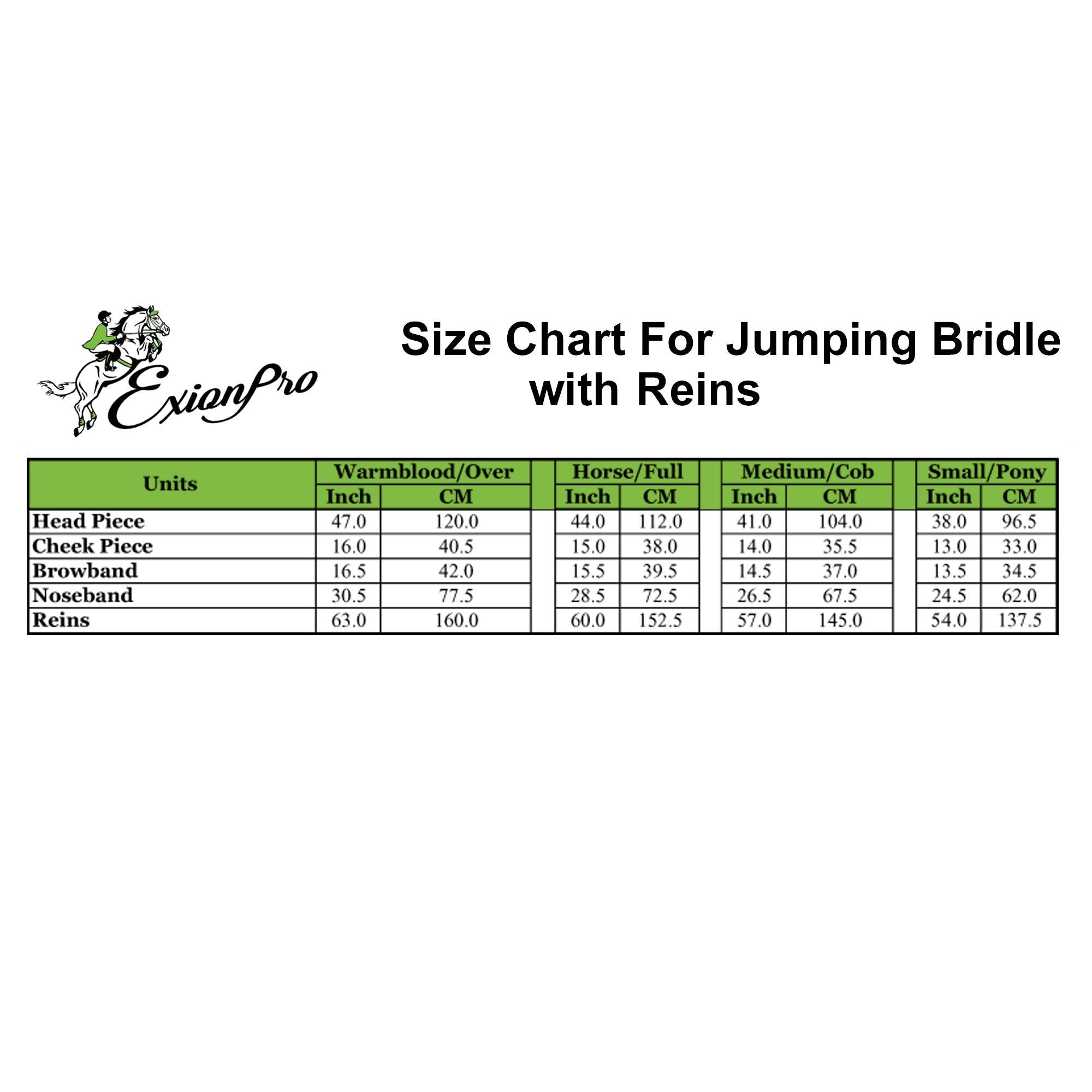 ExionPro Thin Noseband Padded Hunter Bridle with Reins