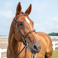 Load image into Gallery viewer, ExionPro Detachable Flash New Thin Raised Bridle & Reins
